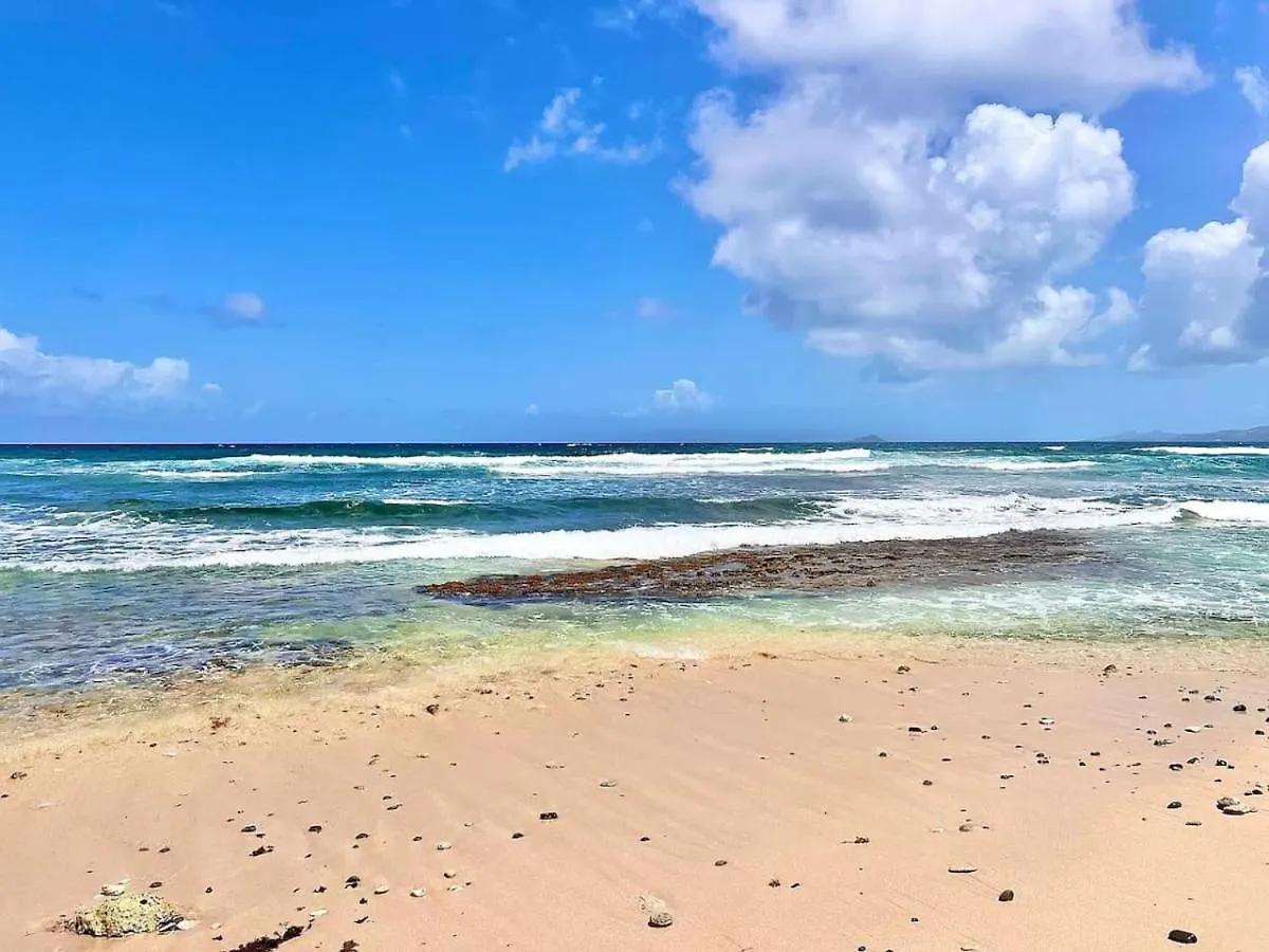 Toes In The Sand Beach House Christiansted 0*,